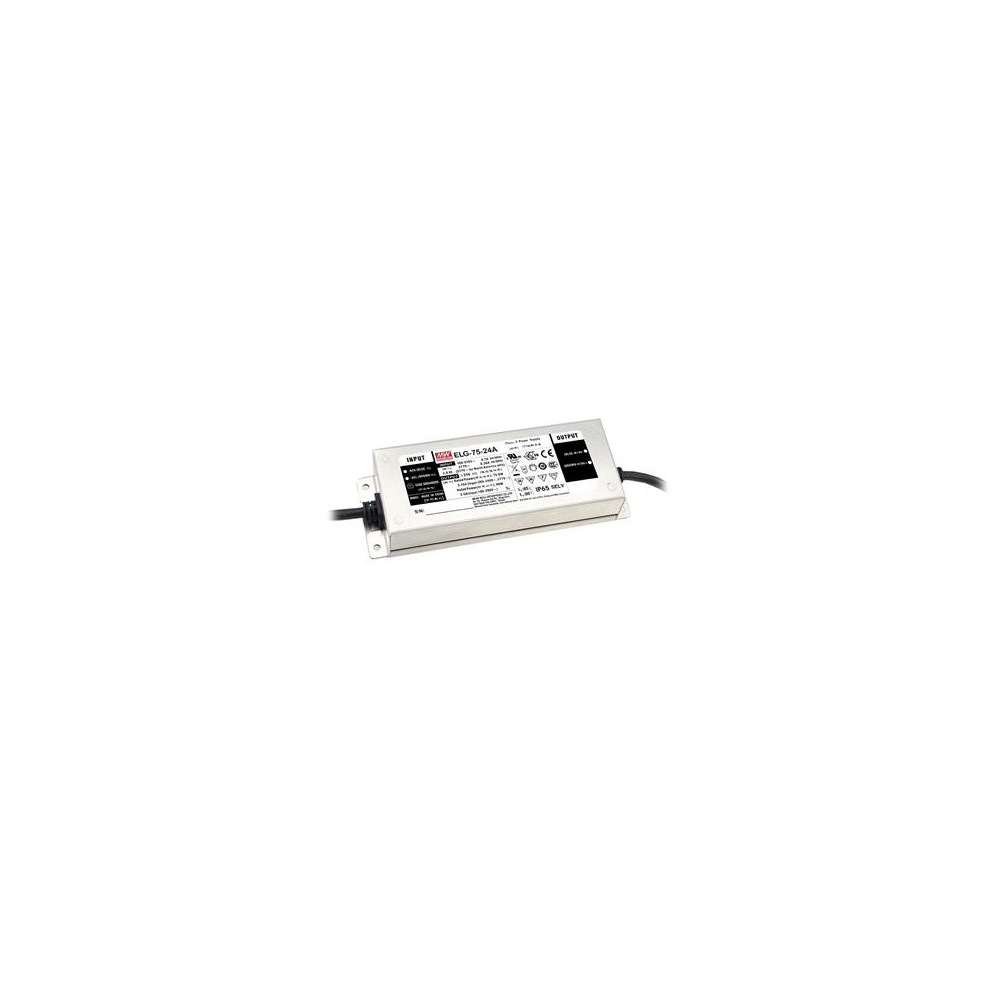 Produktbild för MEAN WELL ELG-75-12-3Y, 75 W, IP20, 100