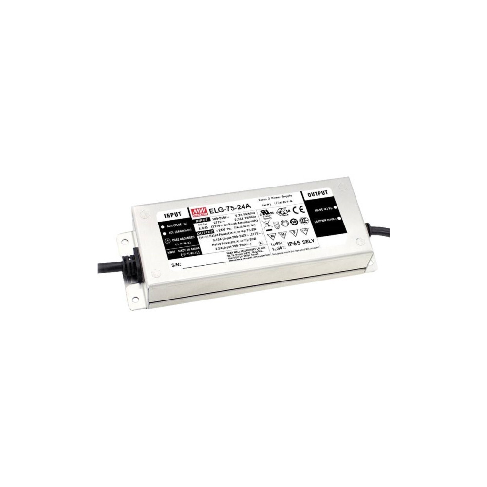 Produktbild för MEAN WELL ELG-75-12-3Y, 75 W, IP20, 100
