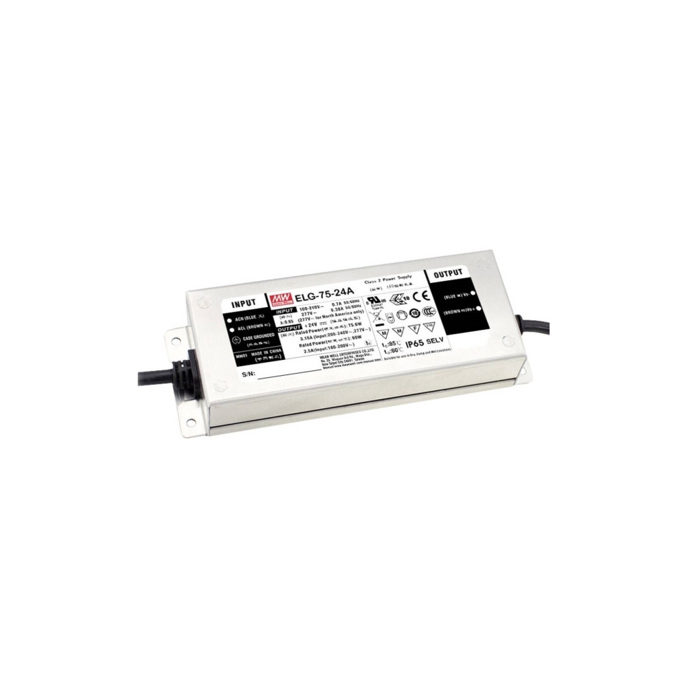 Produktbild för MEAN WELL ELG-75-12-3Y, 75 W, IP20, 100