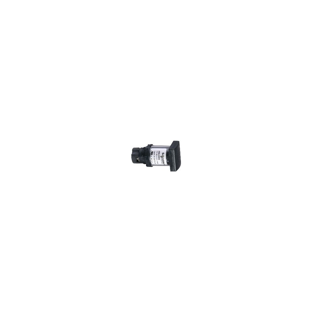 Produktbild för Schneider Electric XB5KSB, Klass II, 29 mm, 55 mm, 29 mm, 24...