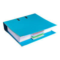 Produktbild för Exacompta Forever - avdelare - 100 delar - för 105 x 240 mm - blandade färger