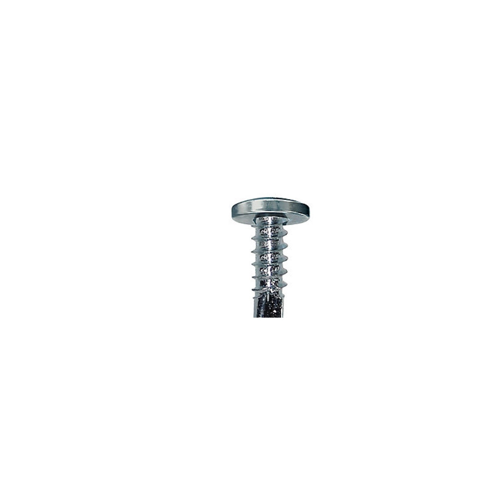 Produktbild för Fischer självgängande skruv plåtskruv FRS-PTB 4,2x19 mm elfö...