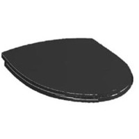 Produktbild för LAUFEN RIGO toalettsits med softclose & quick-release matt s...
