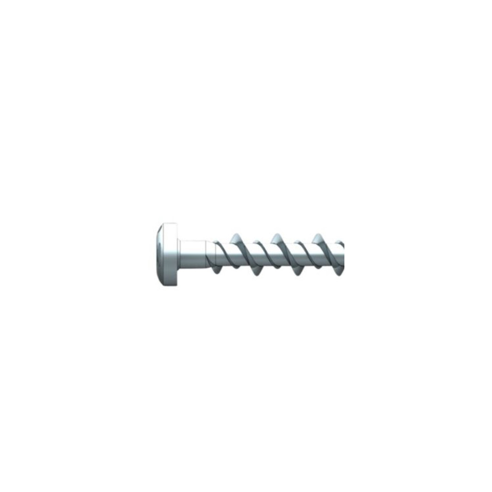 Produktbild för Spitmonteringsskruv 6,2x32mm