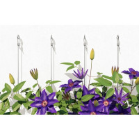 Produktbild för Fischer GS 8 x 80, Inomhus, Universalkrok, Silver, Galvanise...