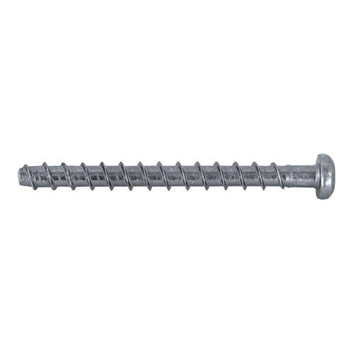 EXPANDET Expandet Multi-Monti betongbult 5x30 panhuvud för betong och...
