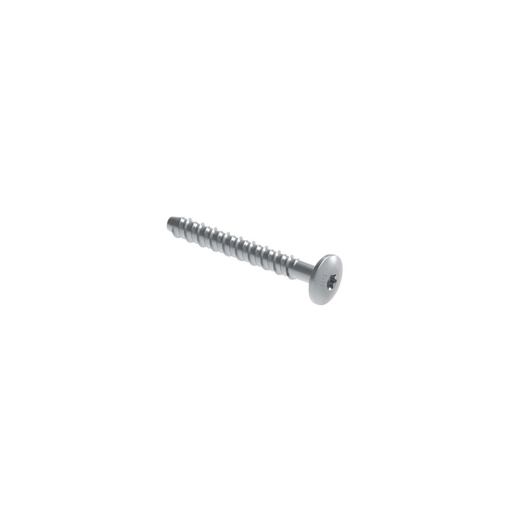 Produktbild för Walraven betongskruv 6x60 Ø17 mm Elgalv. panh. torx 30 spruc...