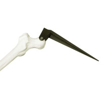 Produktbild för Halloween Skelett med Markspikar Vit 45,5 x 13 cm Polypropylen