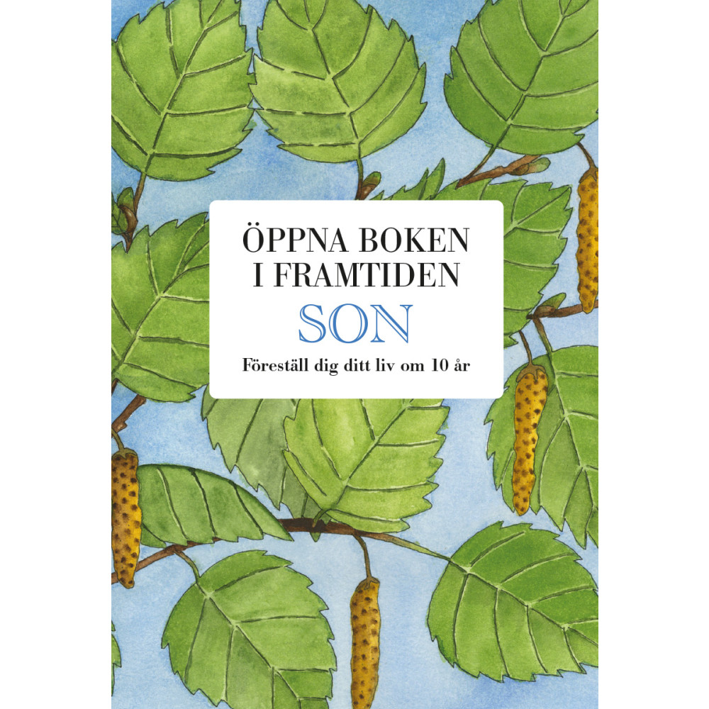 Produktbild för Son : öppna boken i framtiden (bok, kartonnage)