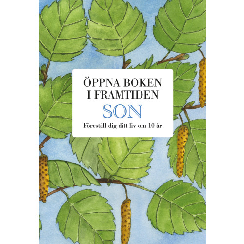 Mats Billmark Son : öppna boken i framtiden (bok, kartonnage)