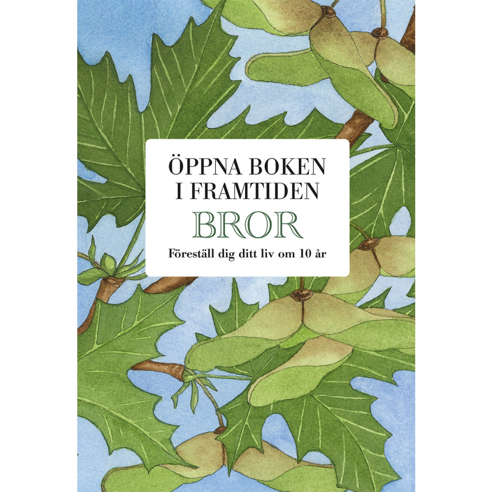 Produktbild för Bror : öppna boken i framtiden (bok, kartonnage)