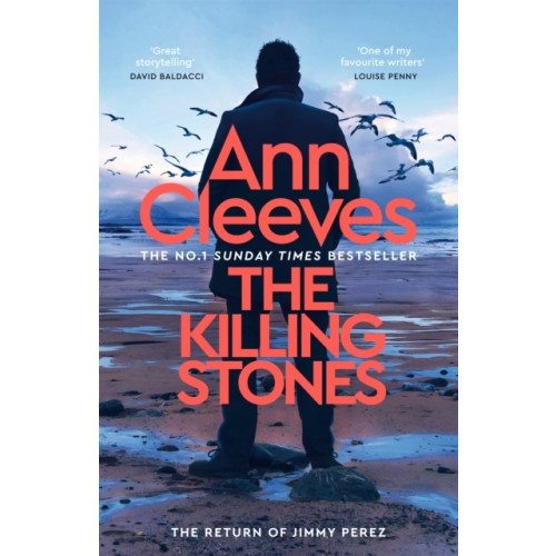 Ann Cleeves The Killing Stones (häftad, eng)