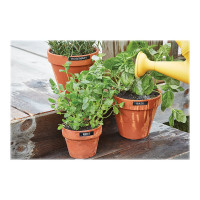 Produktbild för DYMO D1 - etiketttejp - 1 kassett(er) - Rulle (1,2 cm x 3 m)