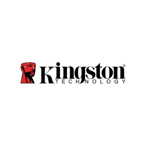 Kingston Technology Kingston DataTraveler