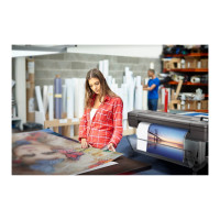 Produktbild för HP DesignJet Z9+dr PostScript - storformatsskrivare - färg - bläckstråle