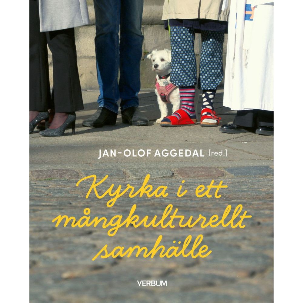 Produktbild för Kyrka i ett mångkulturellt samhälle (häftad)
