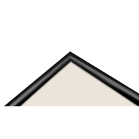 Produktbild för Focus Lily Black 10x15