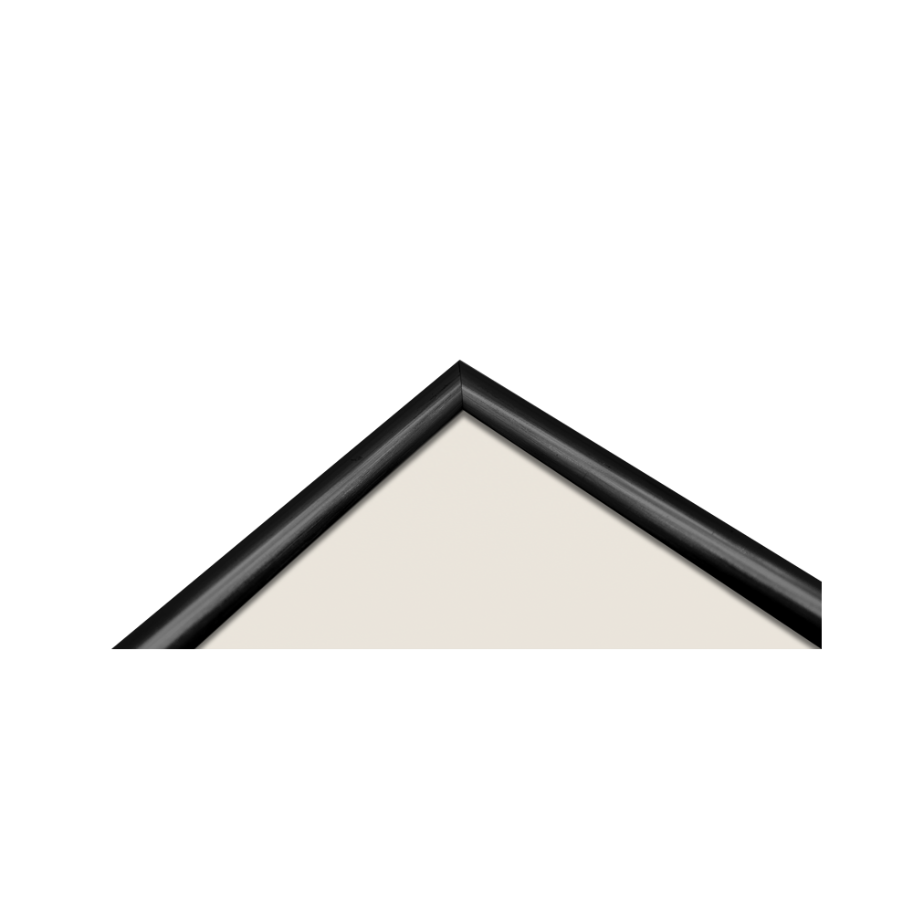 Produktbild för Focus Lily Black 20x25