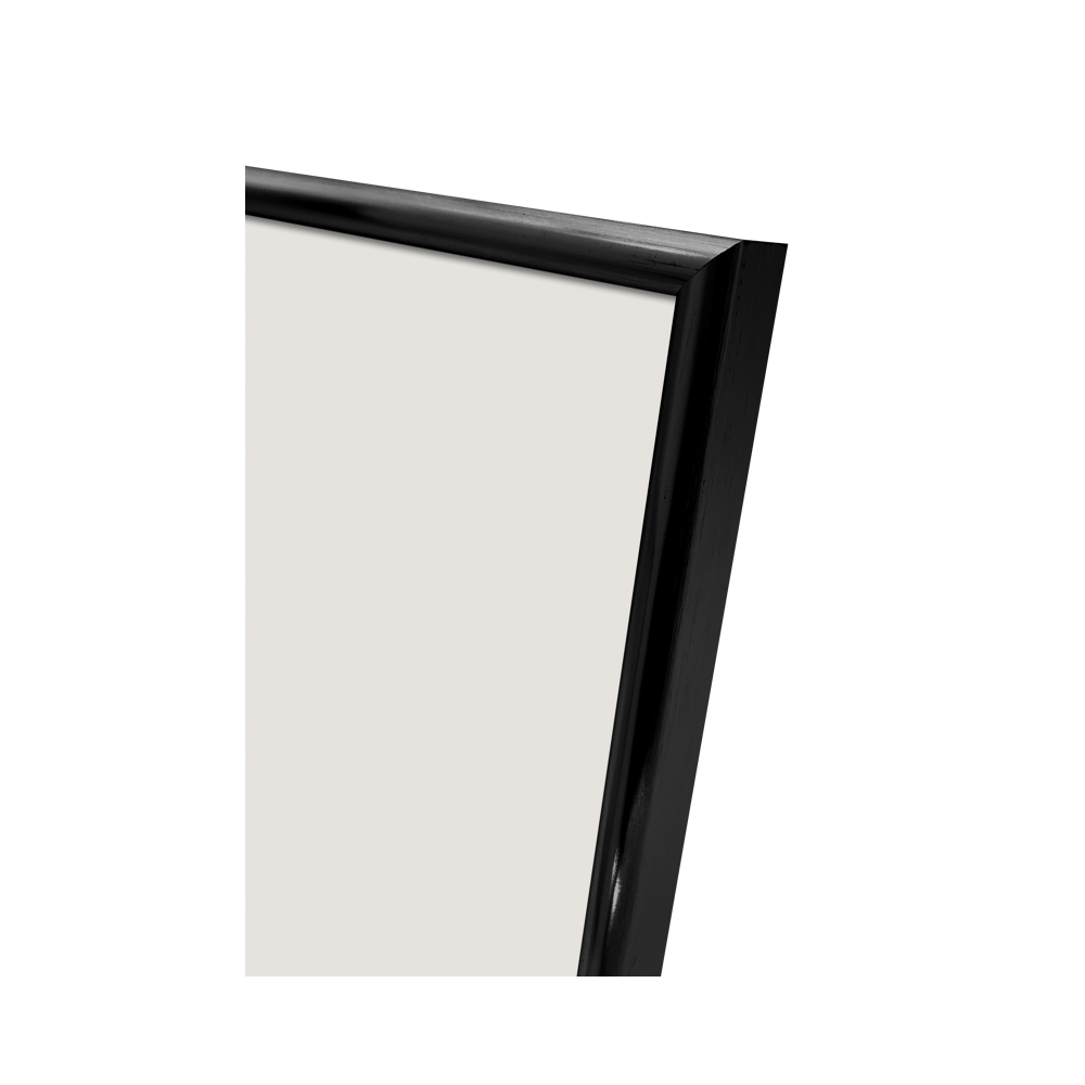 Produktbild för Focus Lily Black 21x30