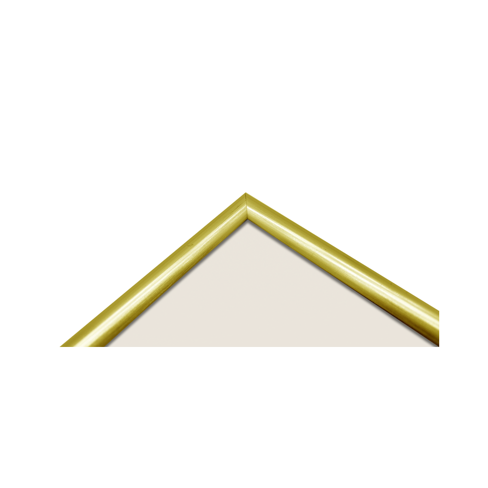 Produktbild för Focus Lily Gold 20x25