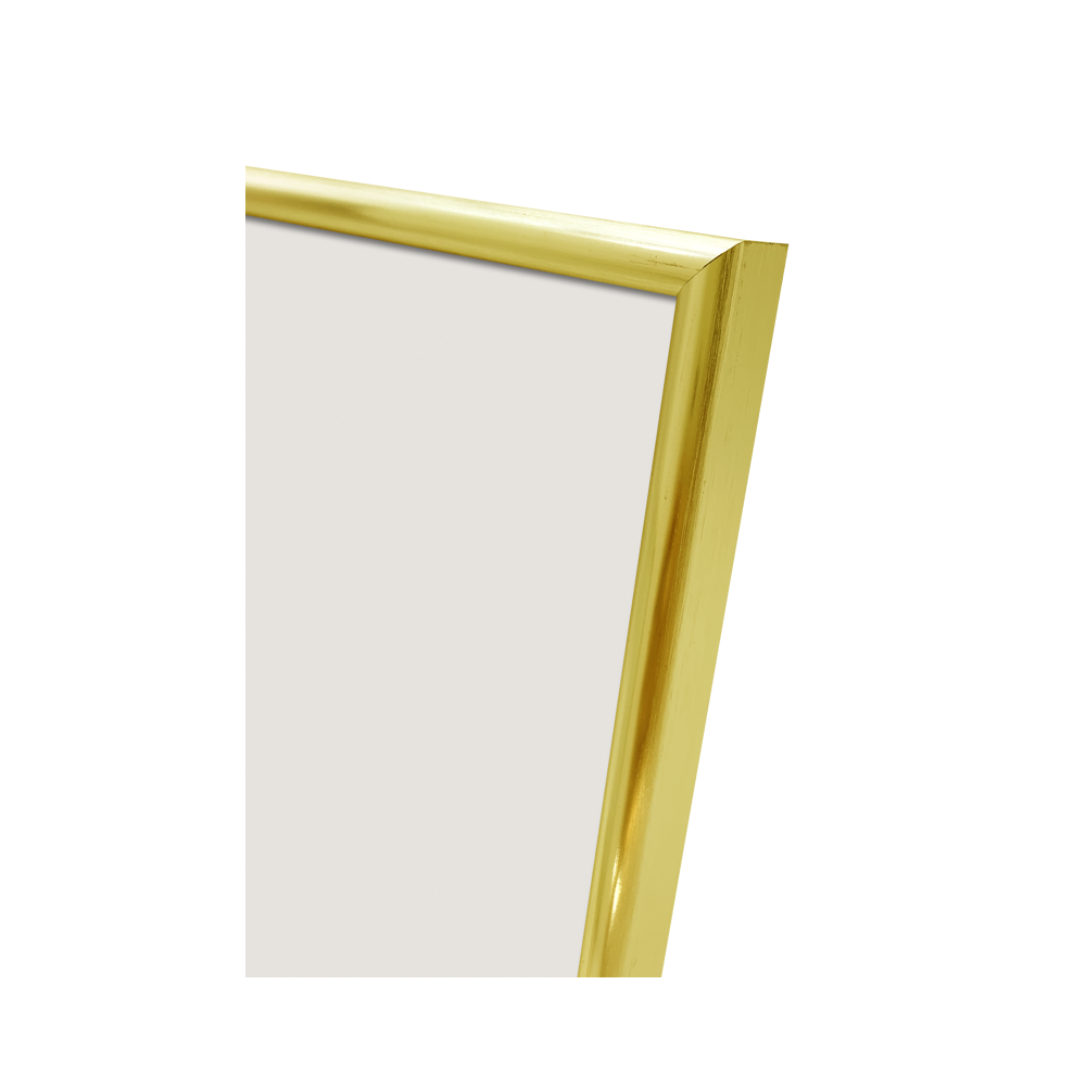 Produktbild för Focus Lily Gold 20x30