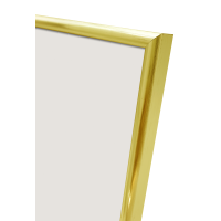 Produktbild för Focus Lily Gold 21x30