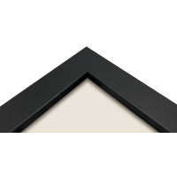 Produktbild för Focus Ivy Black 20x25