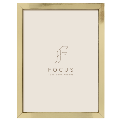 FOCUS Focus Ivy Gold 20x30
