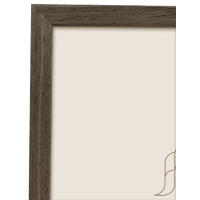 Produktbild för Focus Willow Walnut 18X24