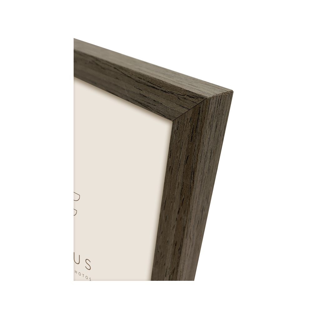 Produktbild för Focus Willow Walnut 21X29,7 (A4)