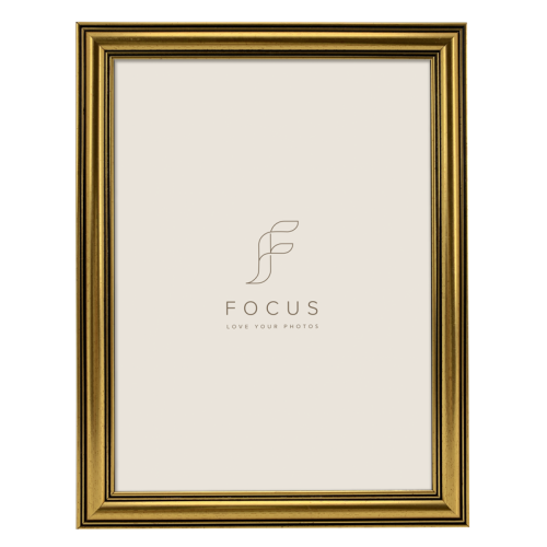 FOCUS Focus Holly Gold 18x24