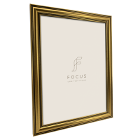 Produktbild för Focus Holly Gold 18x24