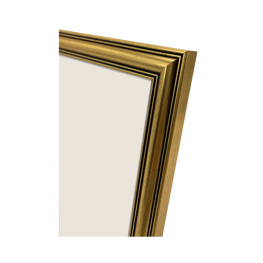 Produktbild för Focus Holly Gold 18x24
