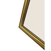 Produktbild för Focus Holly Gold 20x30