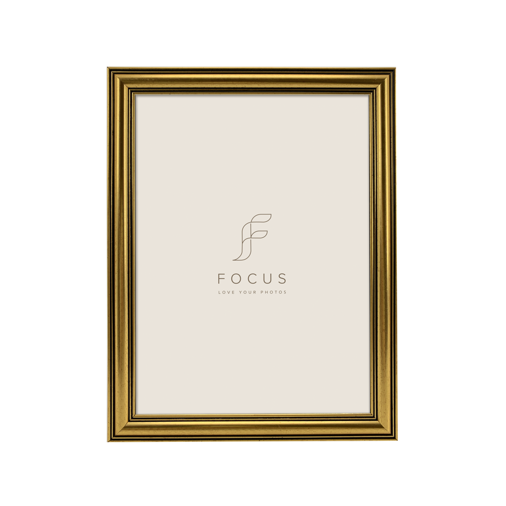 Produktbild för Focus Holly Gold 30x40