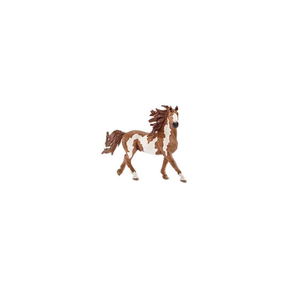 Produktbild för Schleich World of Nature: Farm Life - Pinto hingst