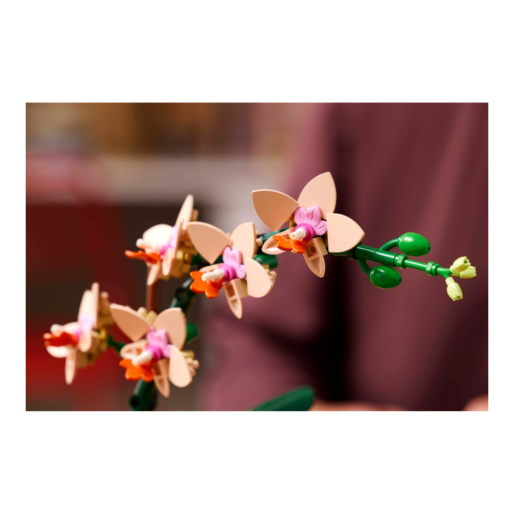 Produktbild för LEGO The Botanical Collection 10343 - Miniorkidé - byggsats