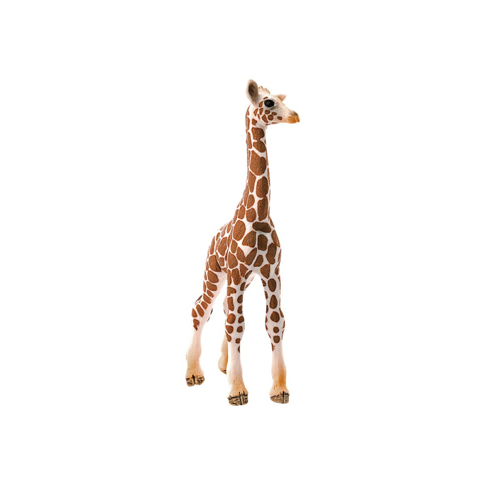 Produktbild för Schleich Wild Life - Giraff, kalv