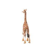 Produktbild för Schleich Wild Life - Giraff, kalv