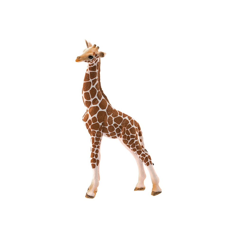 Produktbild för Schleich Wild Life - Giraff, kalv