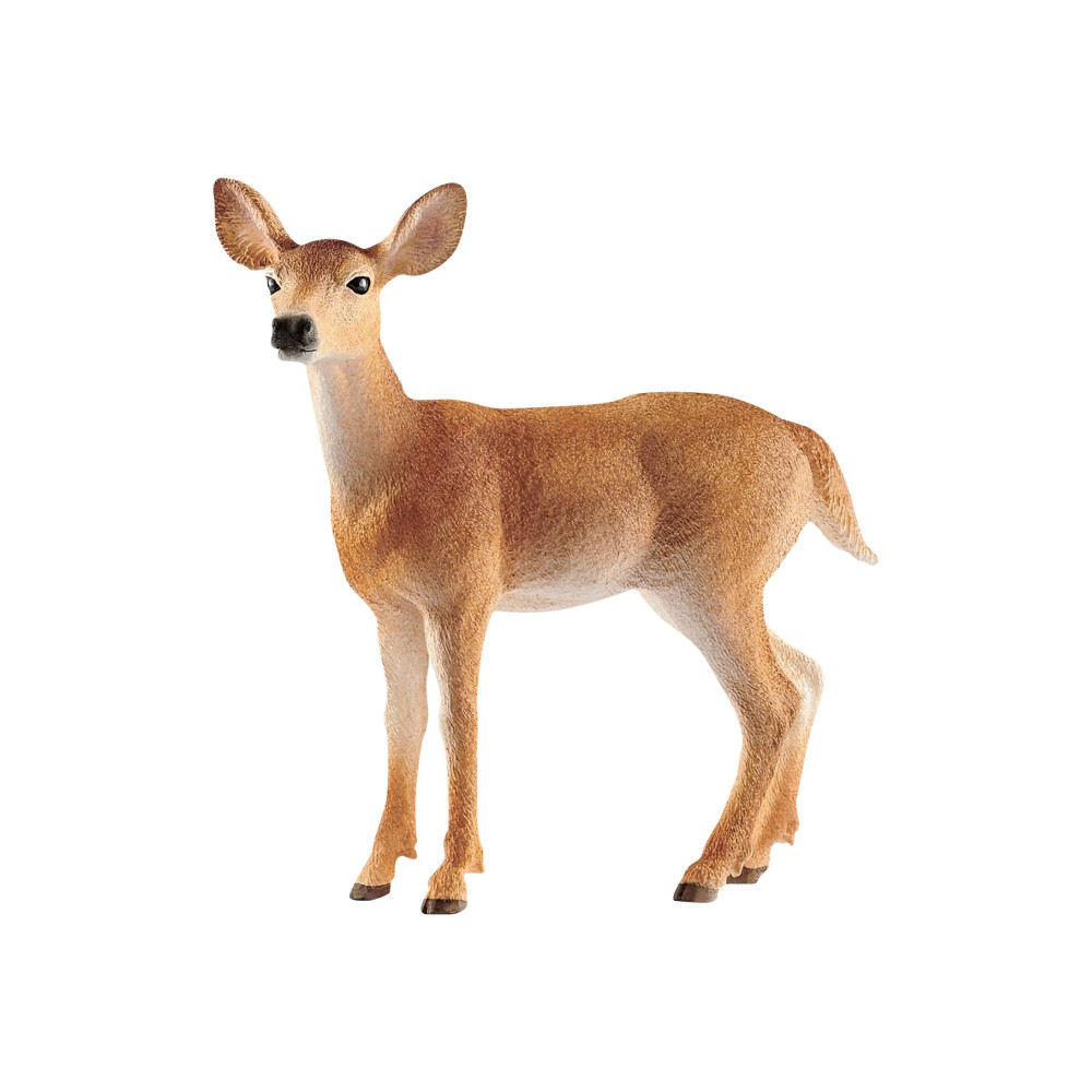 Produktbild för Schleich Wild Life - Vitsvanshjort