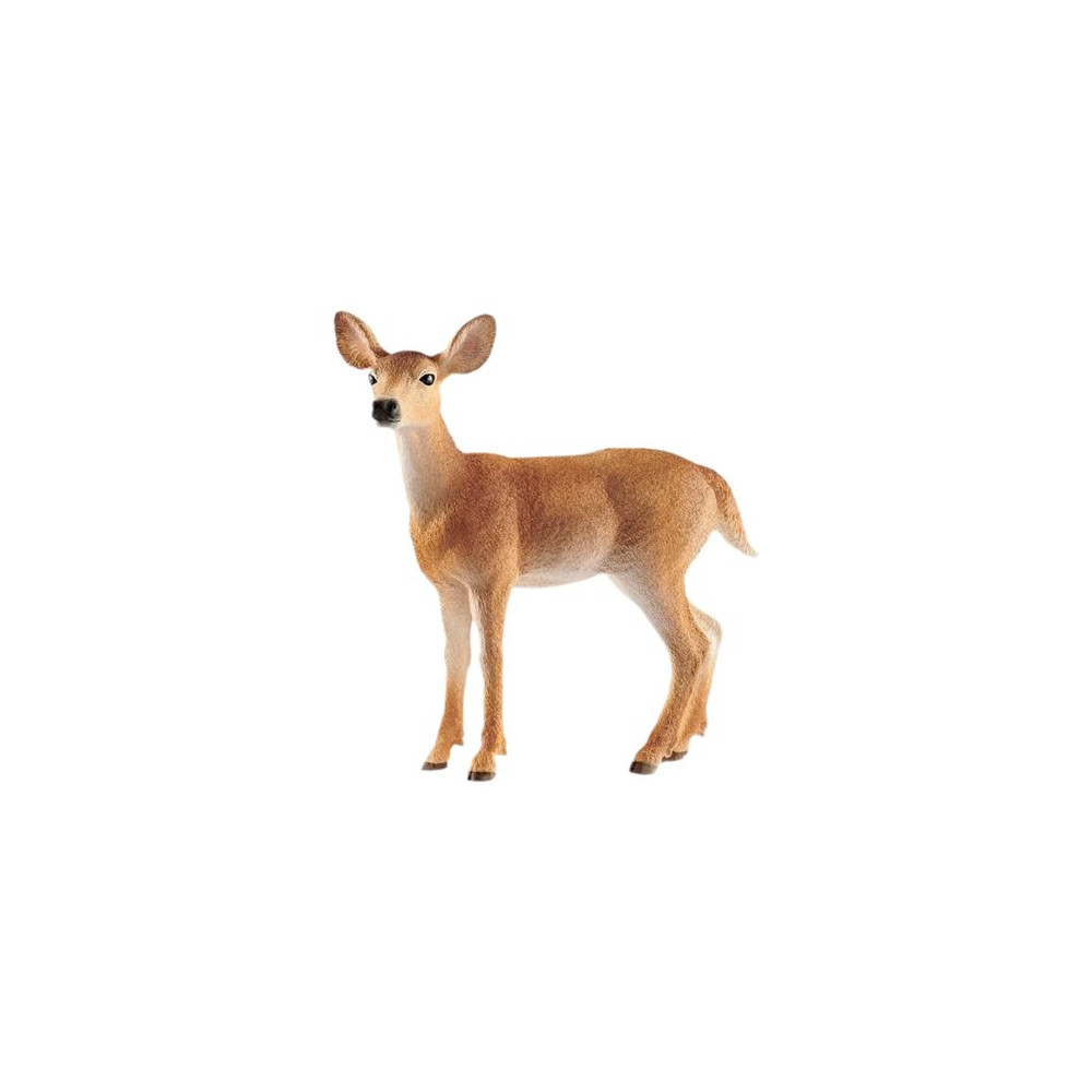Produktbild för Schleich Wild Life - Vitsvanshjort