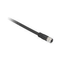 Produktbild för Schneider Electric XZCP29P11L5, 5 m, M12, Hunstik, Sort, Pol...
