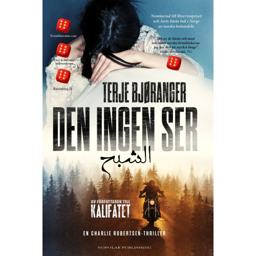 Terje Bjøranger Den ingen ser (inbunden)