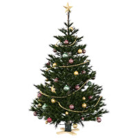 Produktbild för Julgranställ 1.73 Grön 50 x 50 x 16 cm Massiv furu