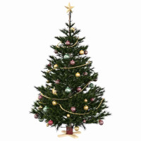 Produktbild för Julgranställ 1.73 Röd 50 x 50 x 16 cm Massiv furu