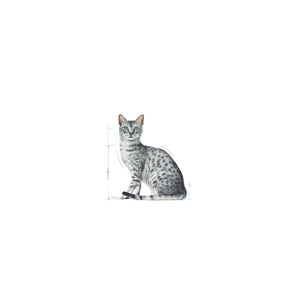 Produktbild för Royal Canin Indoor Sterilized, Vuxen, Alla raser, Kött, 12x8...