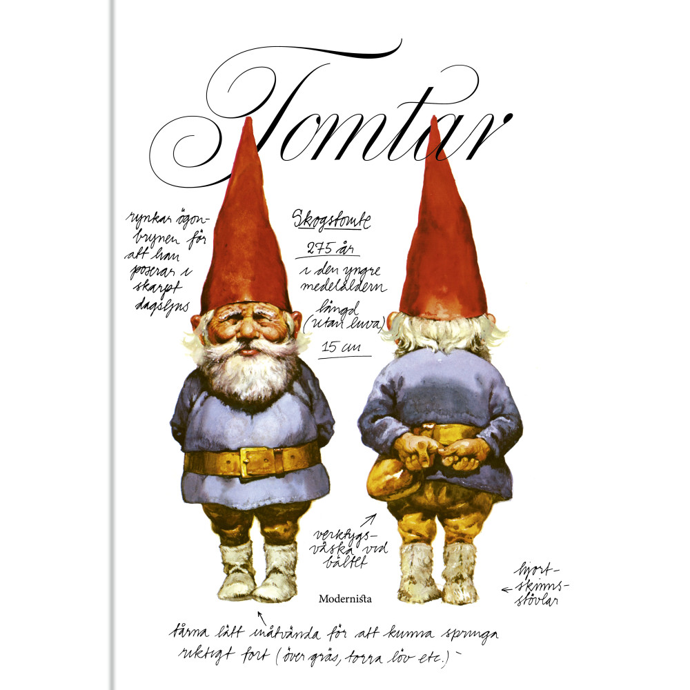 Produktbild för Tomtar (bok, kartonnage)