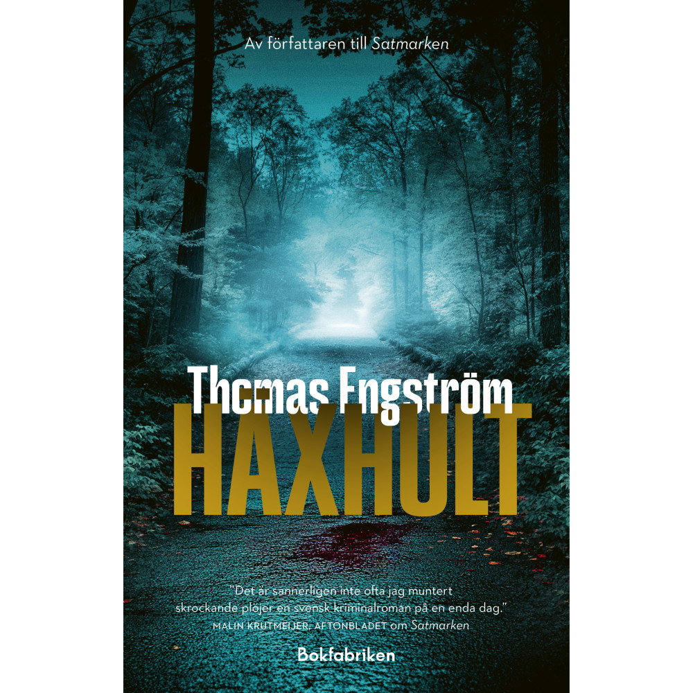 Produktbild för Häxhult (inbunden)