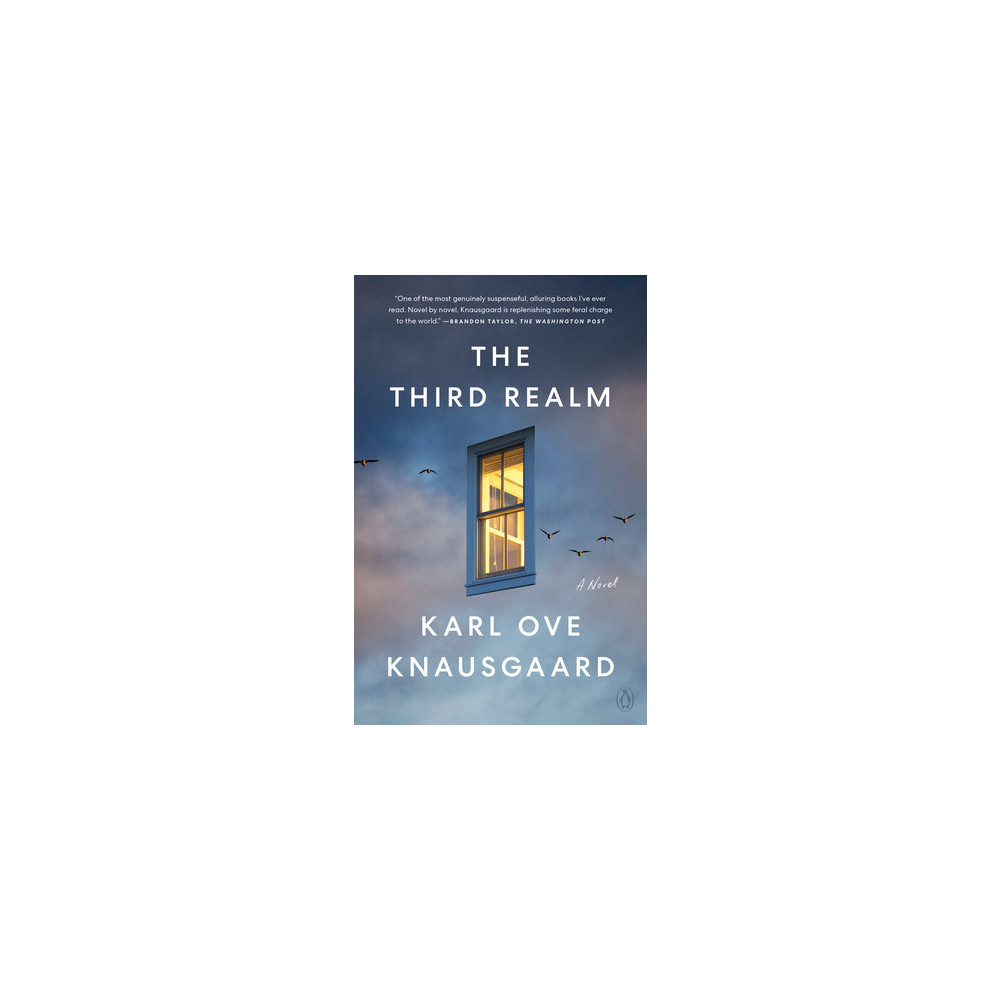 Produktbild för The Third Realm: A Novel (häftad, eng)